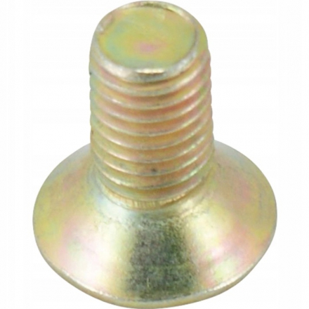 AGTECH Śruba talerza M12x25 imbus 10 | 5036  01-051  0