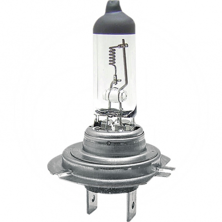 AGTECH Żarówka halogenowa H7 12V 55W | 12V 55W H7 PX 26D