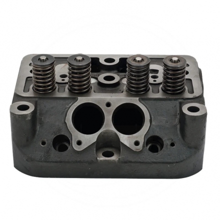 Głowica silnika komplet z zaworami | 42.02.202.0