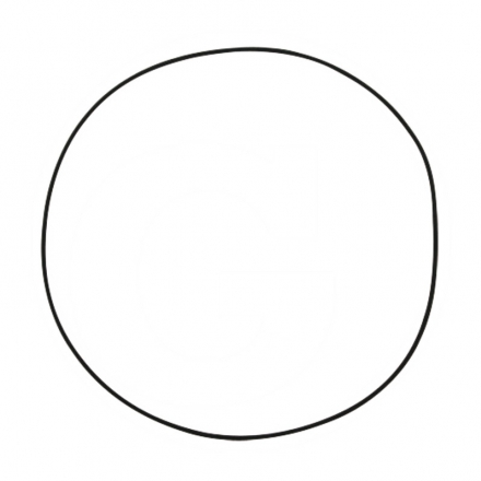 Oring uszczelniający Deutz | L40317