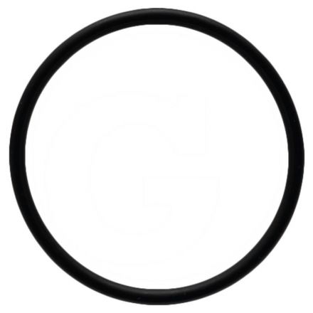 B&P O-Ring