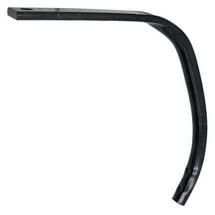  Dolna część zęba