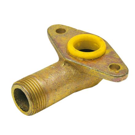 Eider Króciec ssący