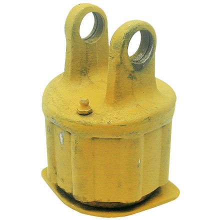 Grzechotka gwiaździsta