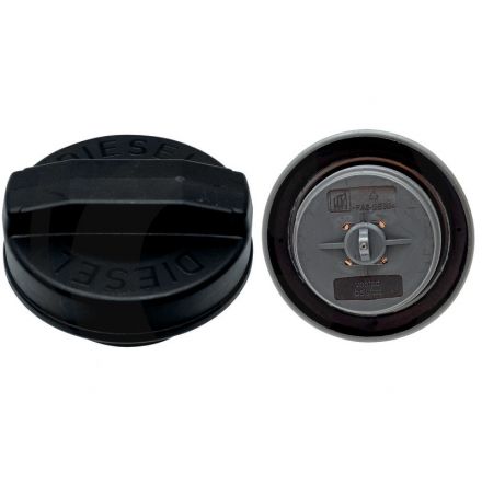 Korek wlewu paliwa | 3824202M91