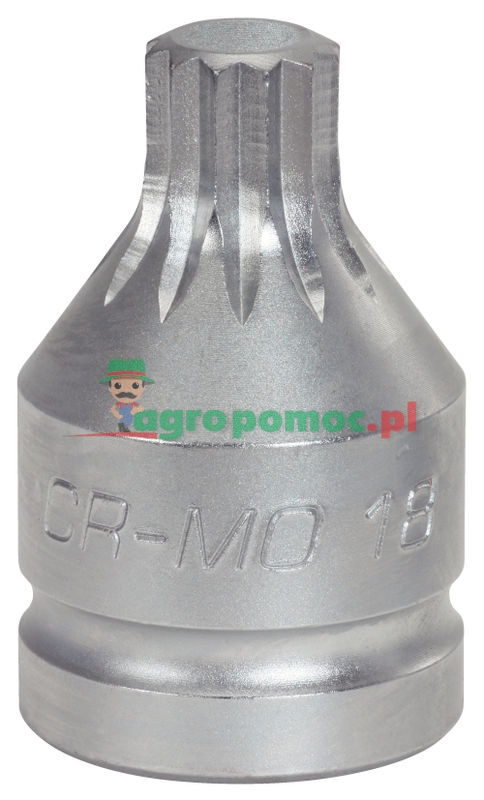 KS Tools 3/4" Kraft-Bit-Stecknuss für Vielzahn(XZN®)-Schrauben, kurz, M16