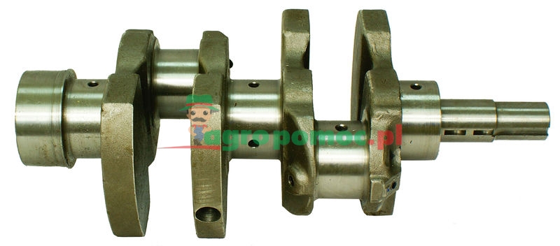 M T Z Wał korbowy - śruba na koło zamachowe M14 | D21-1005011 / 14