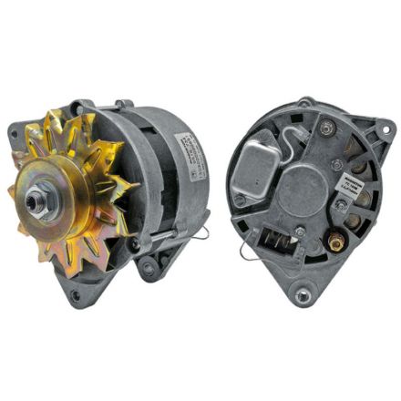 Magneton Alternator | 130300090065