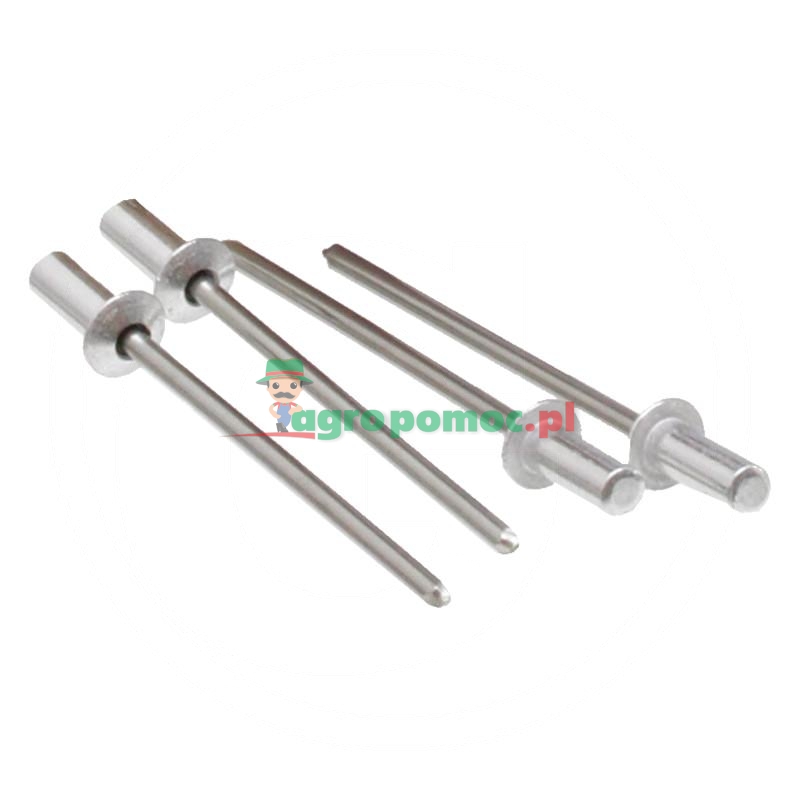  Opak. 500 Nity zrywalne szczelne z łbem płaskim 4,8x12,5