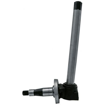  Oś zwrotnicy | DE12447, AL19730