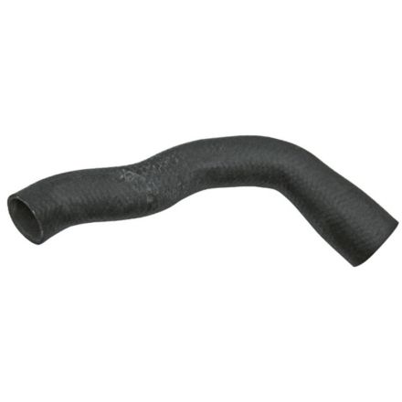  Przewód chłodnicy | R95019