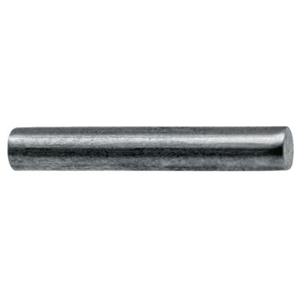 Rau Trzpień rolkowy | 00019517