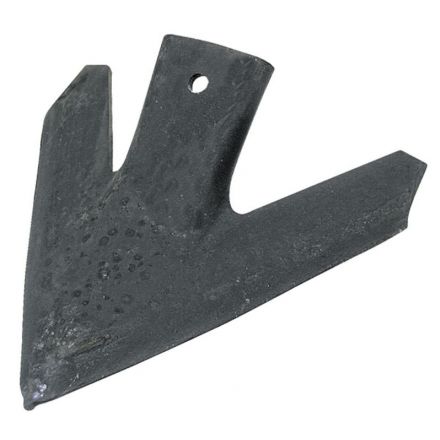  Redlica skrzydełkowa | 63313802