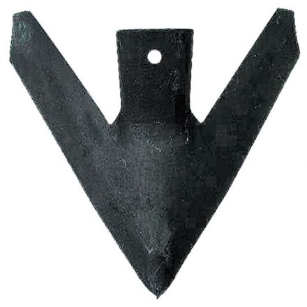 Redlica skrzydełkowa