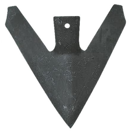 Redlica skrzydełkowa