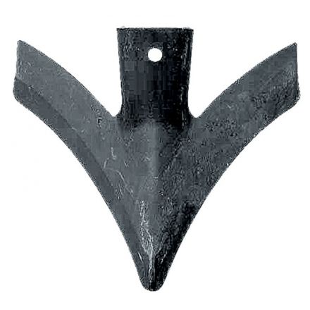 Redlica skrzydełkowa