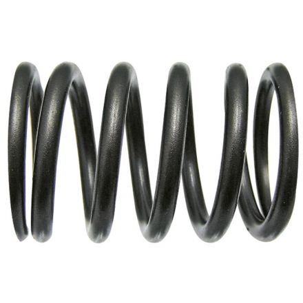 Sprężyna zaworu | F284201011010