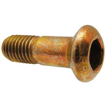  Śruba płozy | 607002201