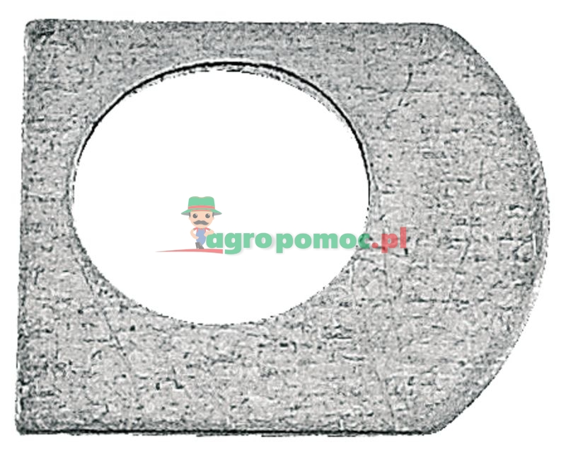 Ursus Podkładka śruby przeciwciężaru wału korbowego | 50.10.069.0