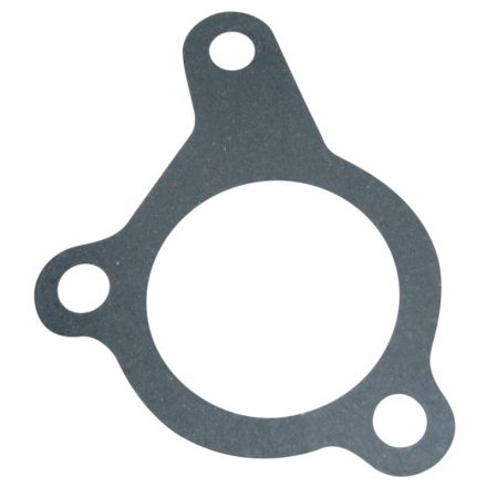 Ursus Uszczelka wlewu | 80002064