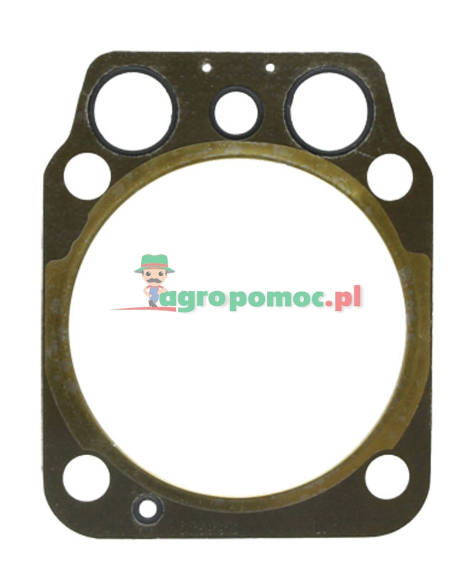 Uszczelka głowicy silnika | 0.015.9192.0