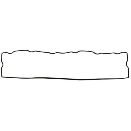 Uszczelka pokrywy zaworów | 4224398M1