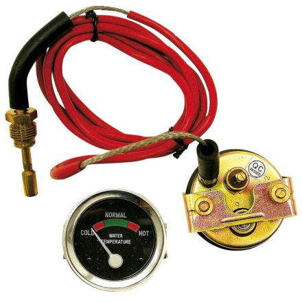 Wskaźnik temperatury | 881396M91, 180272M91