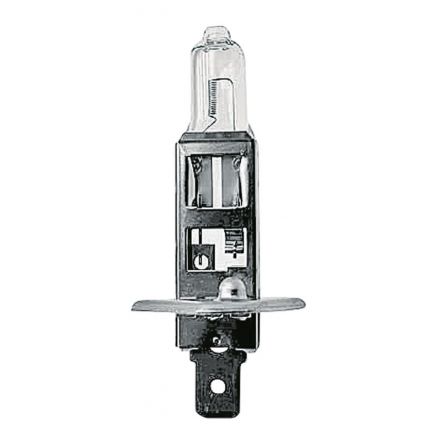 Żarówka halogenowa H1