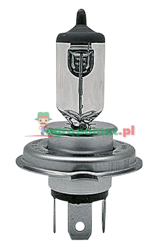 Żarówka halogenowa H4