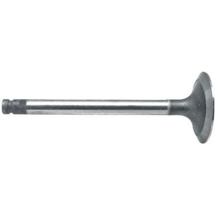 Zawór ssący | 746823M1