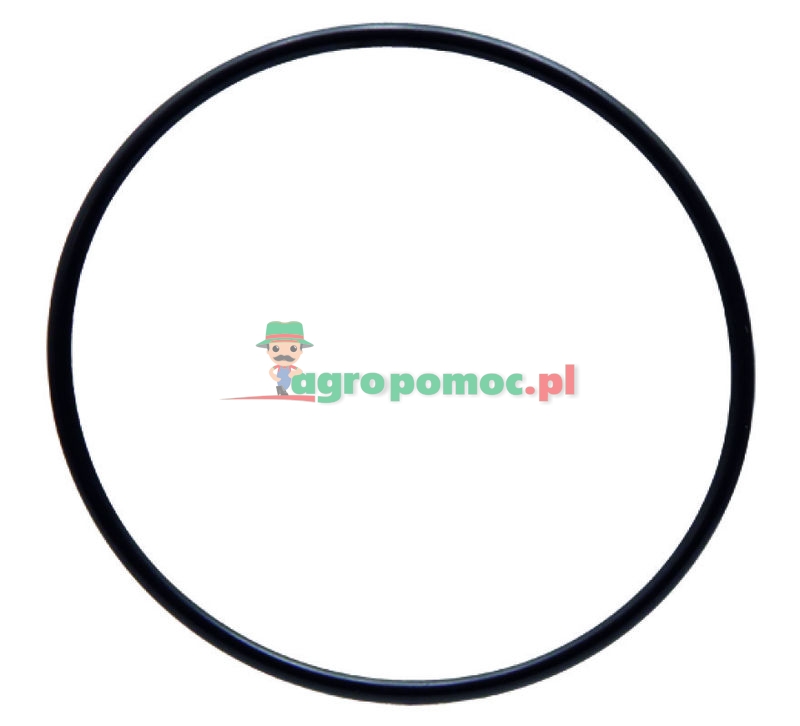 Dichtring | zdjęcie nr 1