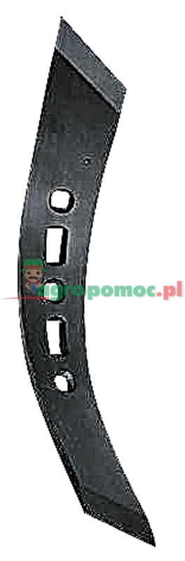 Dziób | zdjęcie nr 1