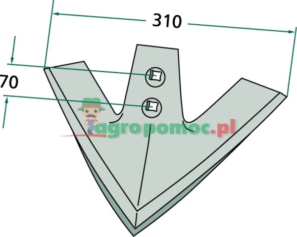 Gęsiostopka | 506013 | zdjęcie nr 2