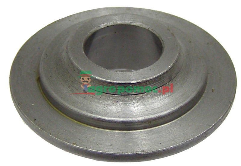 Grzybek zaworu | zdjęcie nr 1