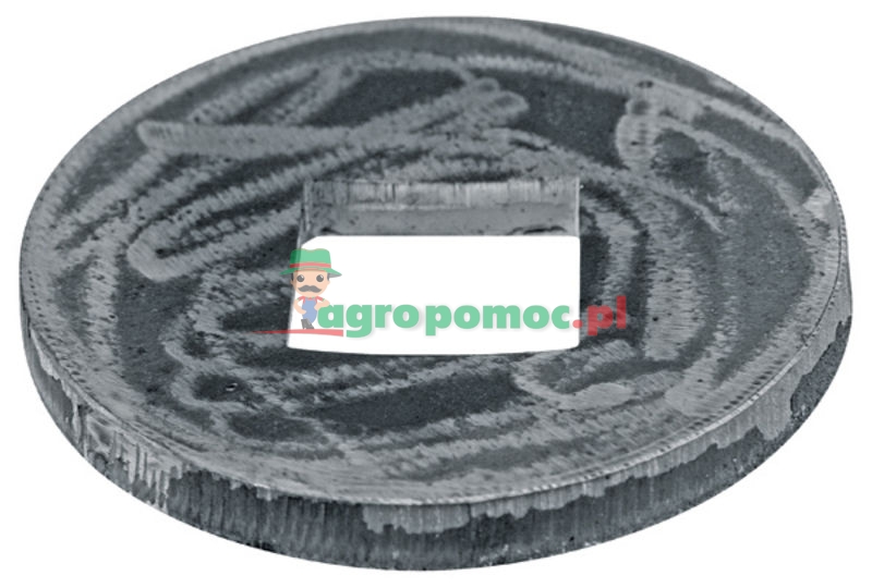 Kołnierz | zdjęcie nr 1