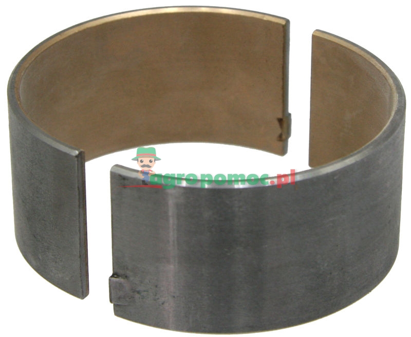 Panewka | zdjęcie nr 1