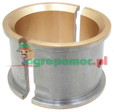 Panewka | zdjęcie nr 1