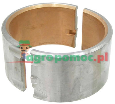 Panewka | zdjęcie nr 1