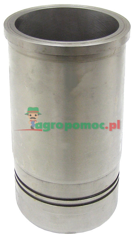 Panewka | zdjęcie nr 1