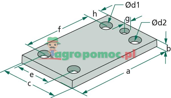 Płytka | zdjęcie nr 2