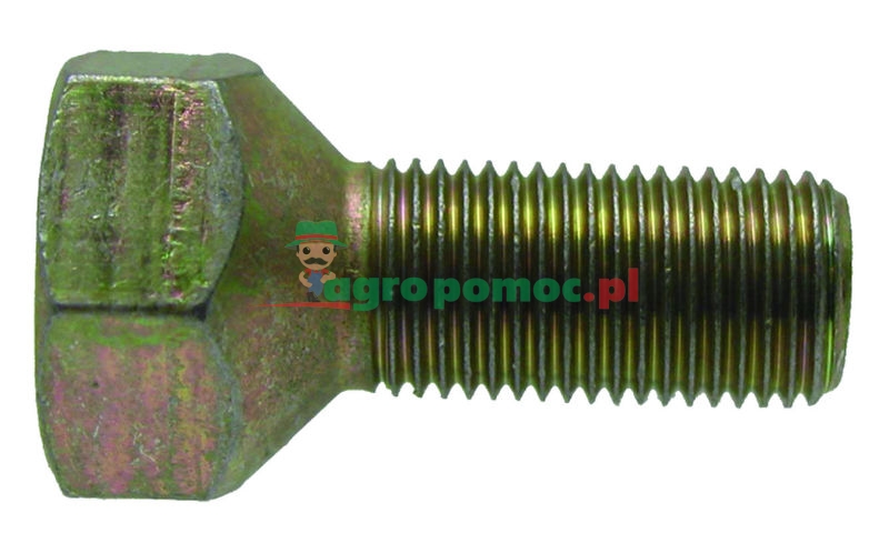 Radbolzen | zdjęcie nr 1