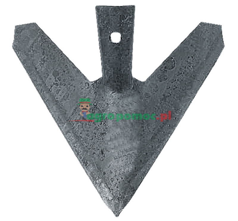 Redlica | zdjęcie nr 1