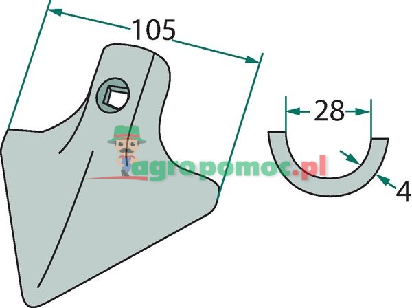 Redlica radełkowa | zdjęcie nr 2
