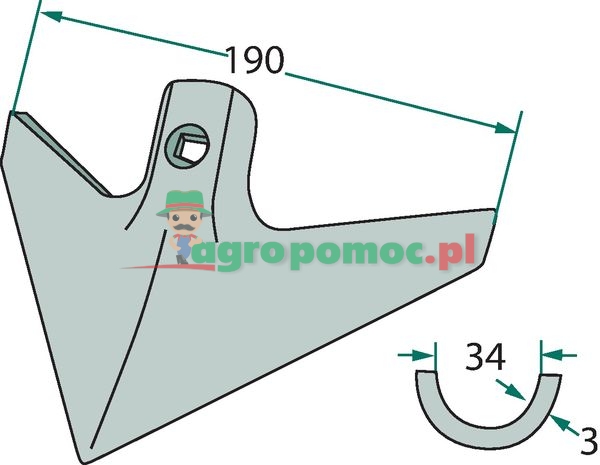 Redlica radełkowa | zdjęcie nr 2