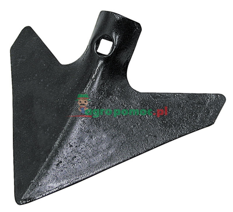 Redlica radełkowa | zdjęcie nr 1