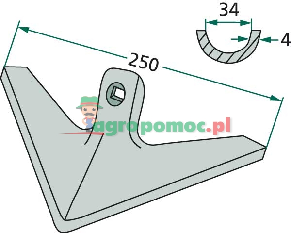 Redlica radełkowa | zdjęcie nr 2