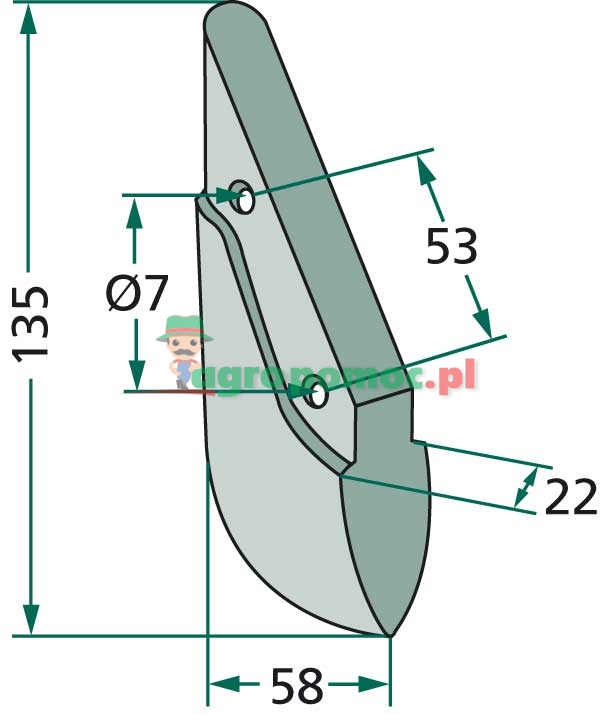 Redlica siewnika | 3877300 | zdjęcie nr 2