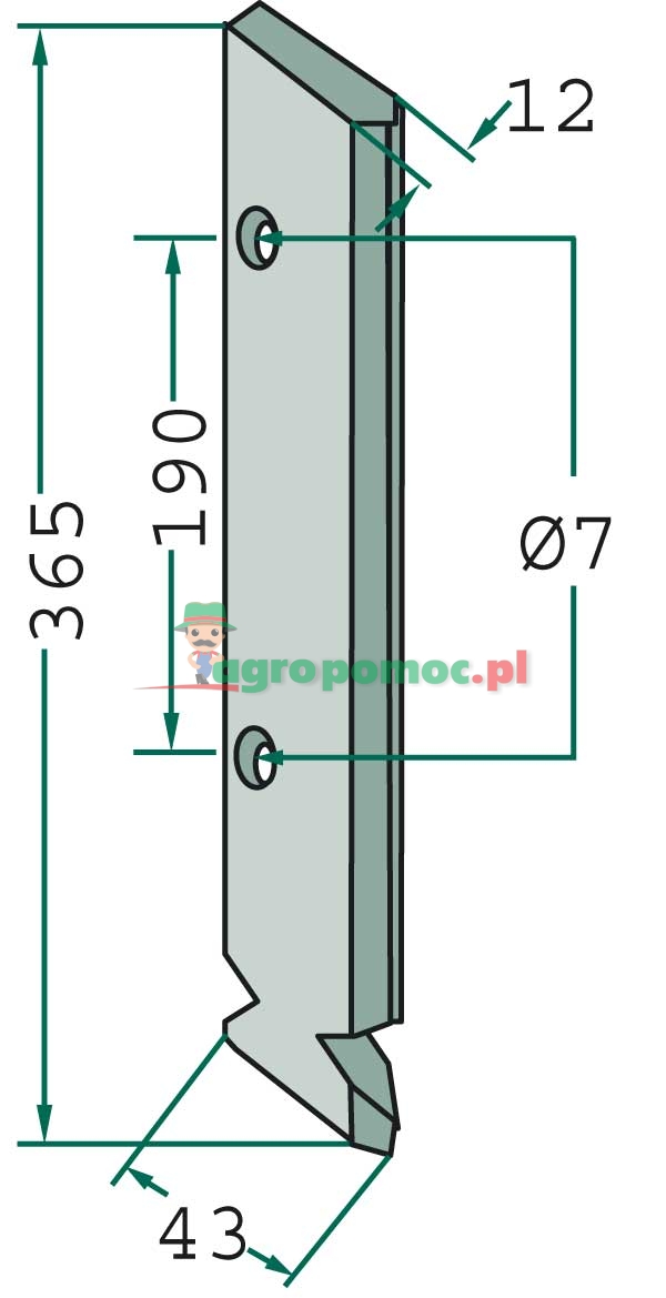 Redlica siewnika | 3.137.180 | zdjęcie nr 2