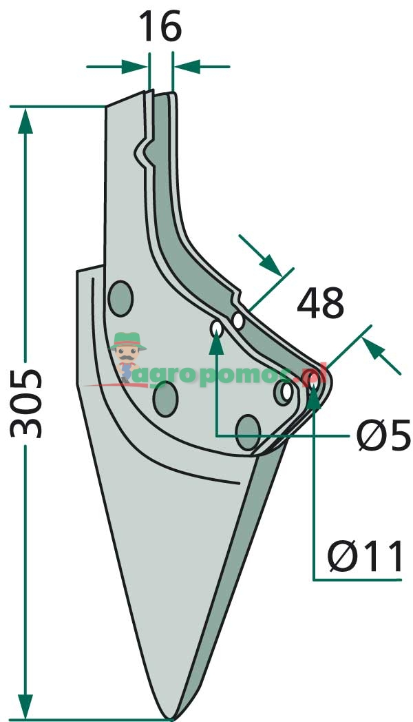 Redlica siewnika | KL810187, 19-461-25 | zdjęcie nr 2