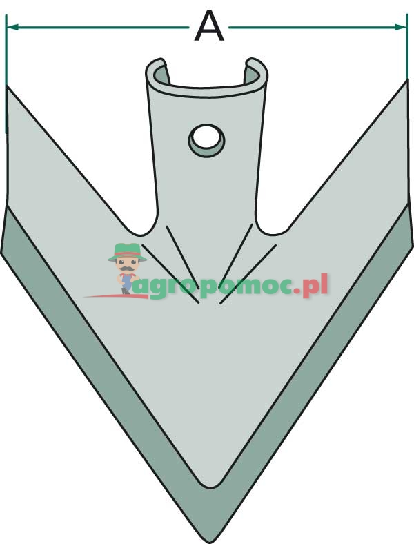 Redlica skrzydełkowa | zdjęcie nr 2